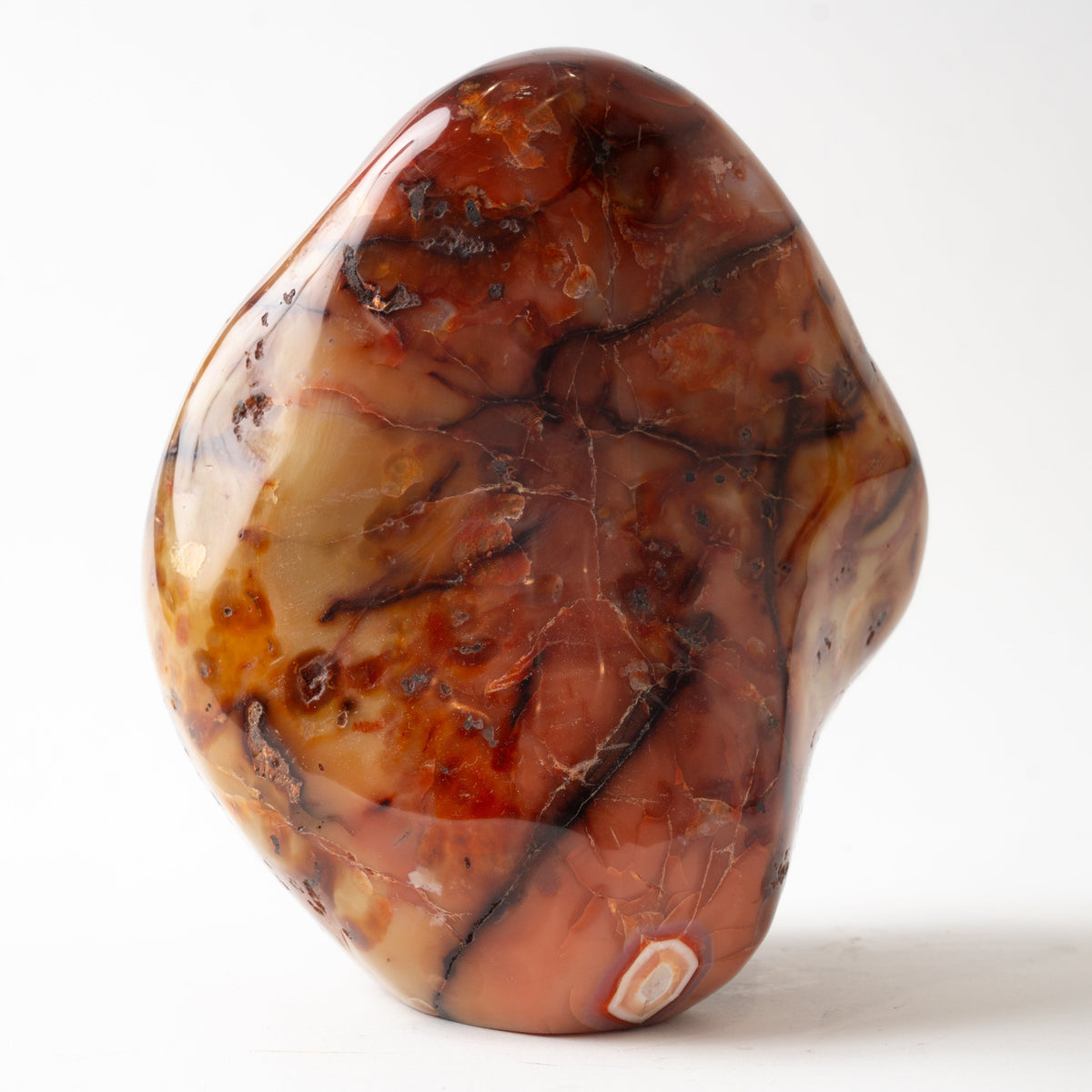 A polished, organic-shaped carnelain stone free form with a marbled pattern of brown, amber, and cream, standing upright on a white background.