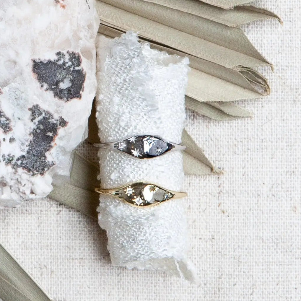 Two Starling rings on a white stone with dried leaves on a textured surface