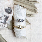 Two Starling rings on a white stone with dried leaves on a textured surface