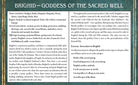 Celtic Goddess Grimoire: Invoke the Enduring Power of the Celtic Feminine Divine Inside 2