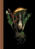 Deep Dark Forest Mushroom Journal cover image