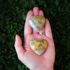 Hand Holding Two Bumble Bee Jasper Hearts