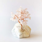 Rose Quartz Tree On Angel Aura Quartz Base