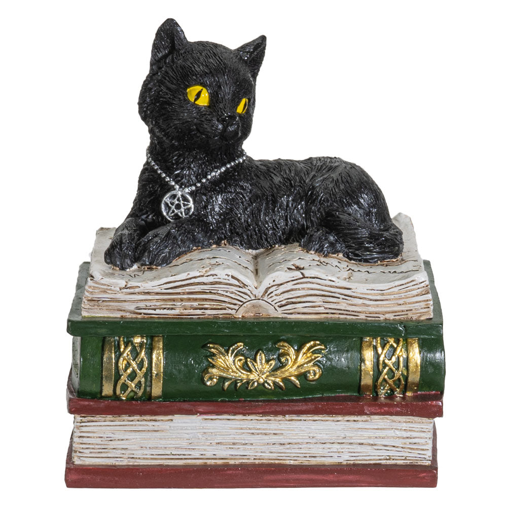 Black cat box with black cat sitting on three books