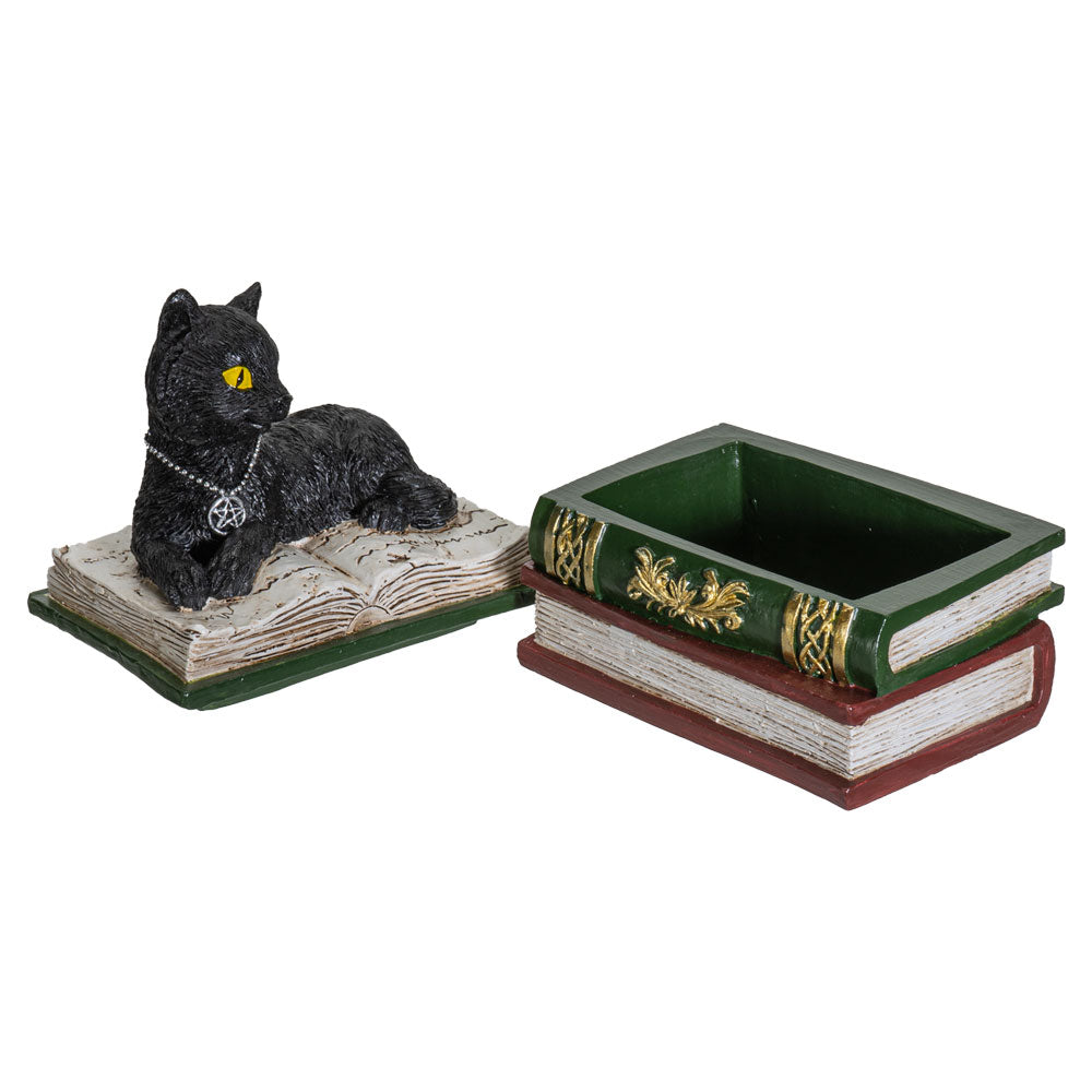 Black cat sitting on books with box open 
