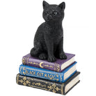 Black cat figurine on a stack of books titled 'Black Cat Magic' on a white background