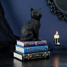 A black cat figurine sitting on top of three decorative books labeled 'BLACG CAT MAGIC' in purple, blue, and black, styled on a dark surface with a lit candle and dark blue background.