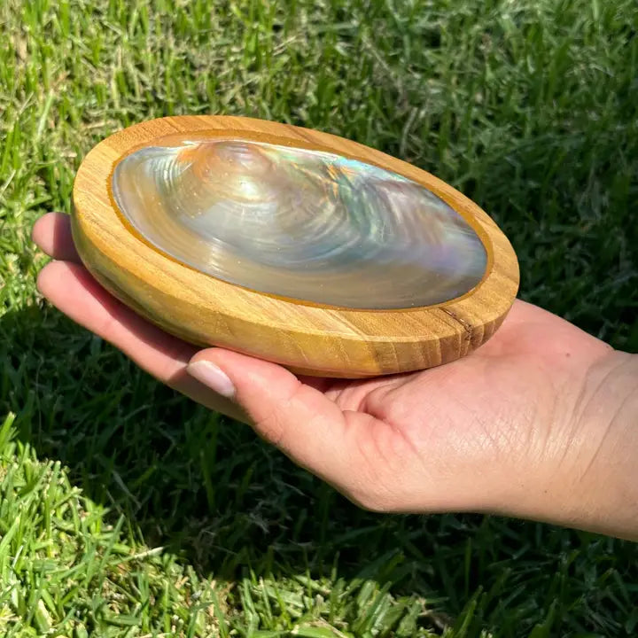 Hand holding a wooden bowl with a shell inside on grass