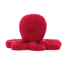 Cranberry Octopus Little Back View