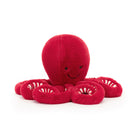 Cranberry Octopus Little