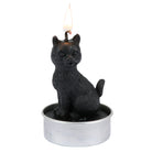 Black cat-shaped tea light candle with a lit candle on a white background