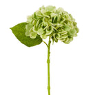 Green Hydrangea Stem, 13"