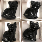 Obsidian Eager Cat Carved 2"H