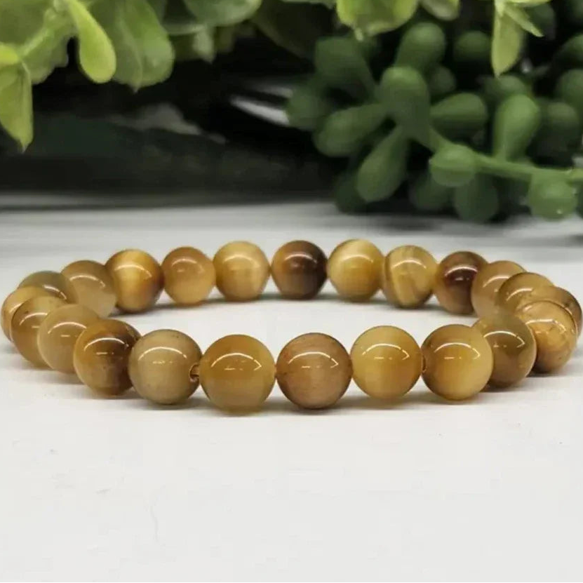 Tiger Eye Honey Smooth Bead Stretch Bracelet full view