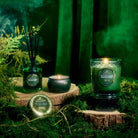 Bewitching Banyan Forest Collection