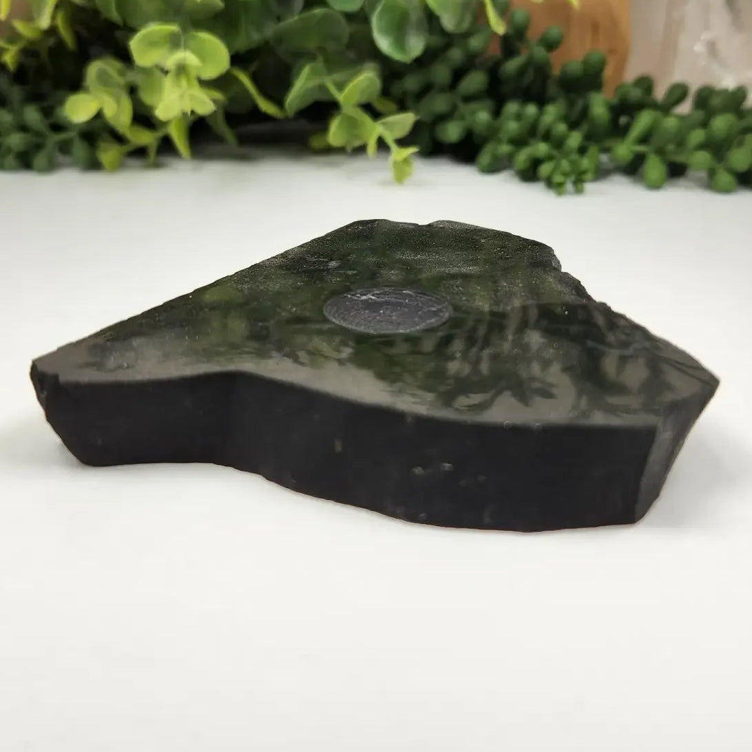 Black shungite stone with a coin on a white surface with greenery in the background