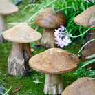 Group of Hand Carved Teak Root Mushroom Sculptures