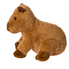 Brown plush capybara  toy on a white background