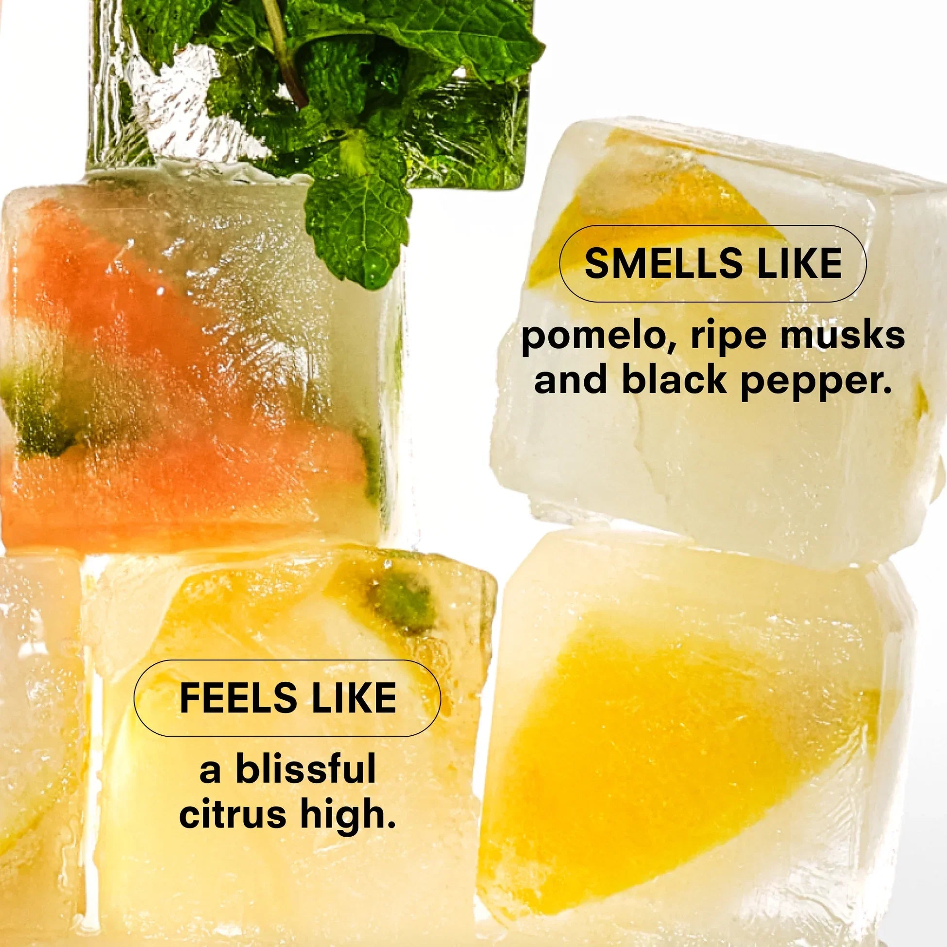 Ice cubes with fruit pieces and text describing their aroma and texture.