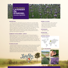 lavender tallow whipped cream background