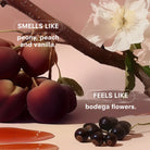 Les Scent List - Fruits and flowers with text describing fragrance and texture.