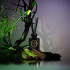 Palo Santo Spells Reed Diffuser on Viiolet 