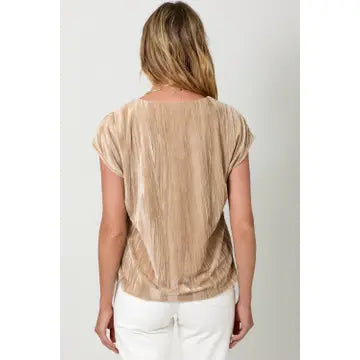 Sand Velvet Cupro V-Neck Top back view