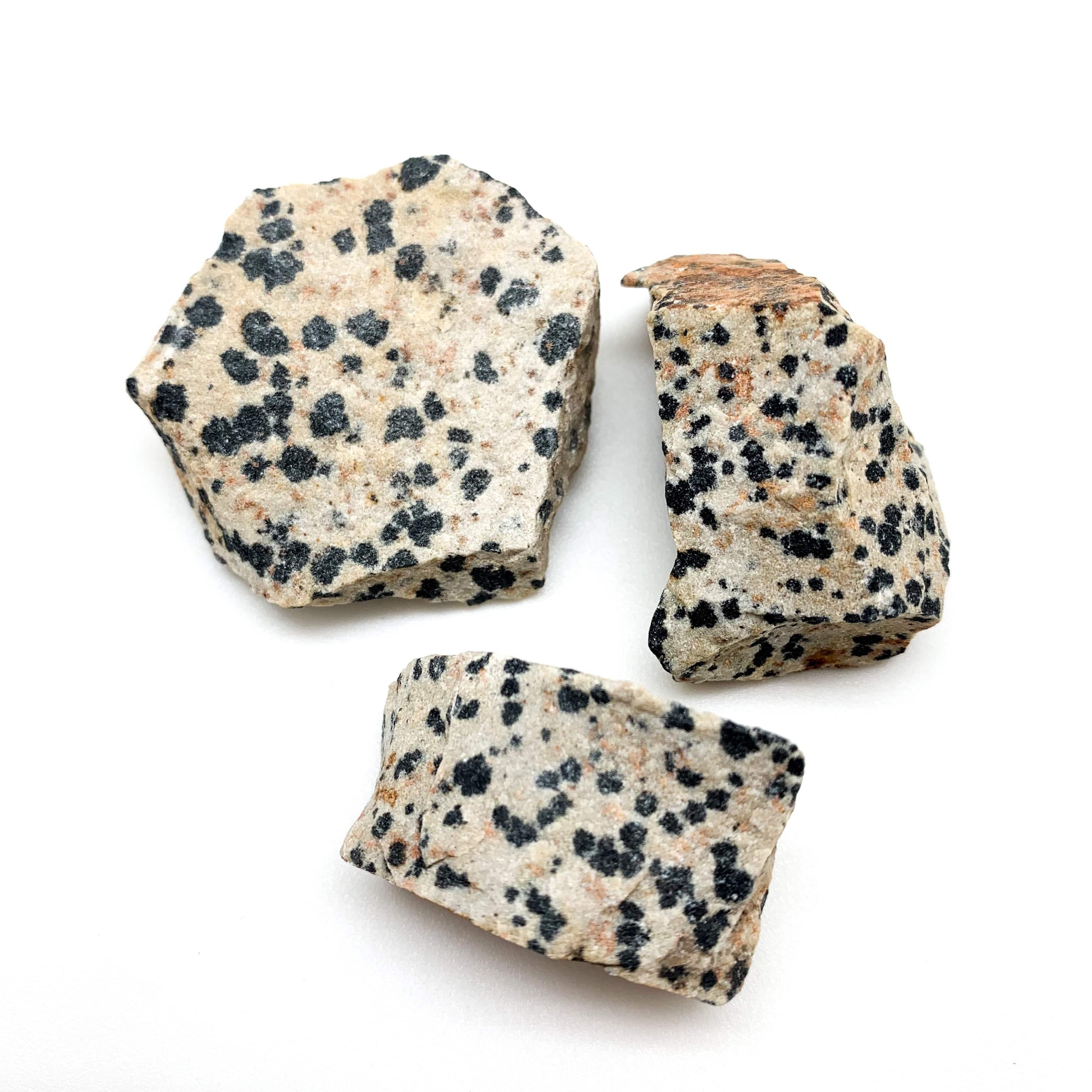 Jasper Dalmatian for trust, inner child, fun Rough