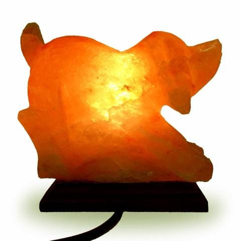 Carved Natural Himalayan Salt Lamps dog