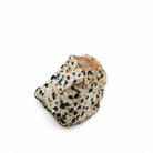 Jasper Dalmatian for trust, inner child, fun