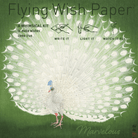 Mini Flying Wish Paper in Peacock