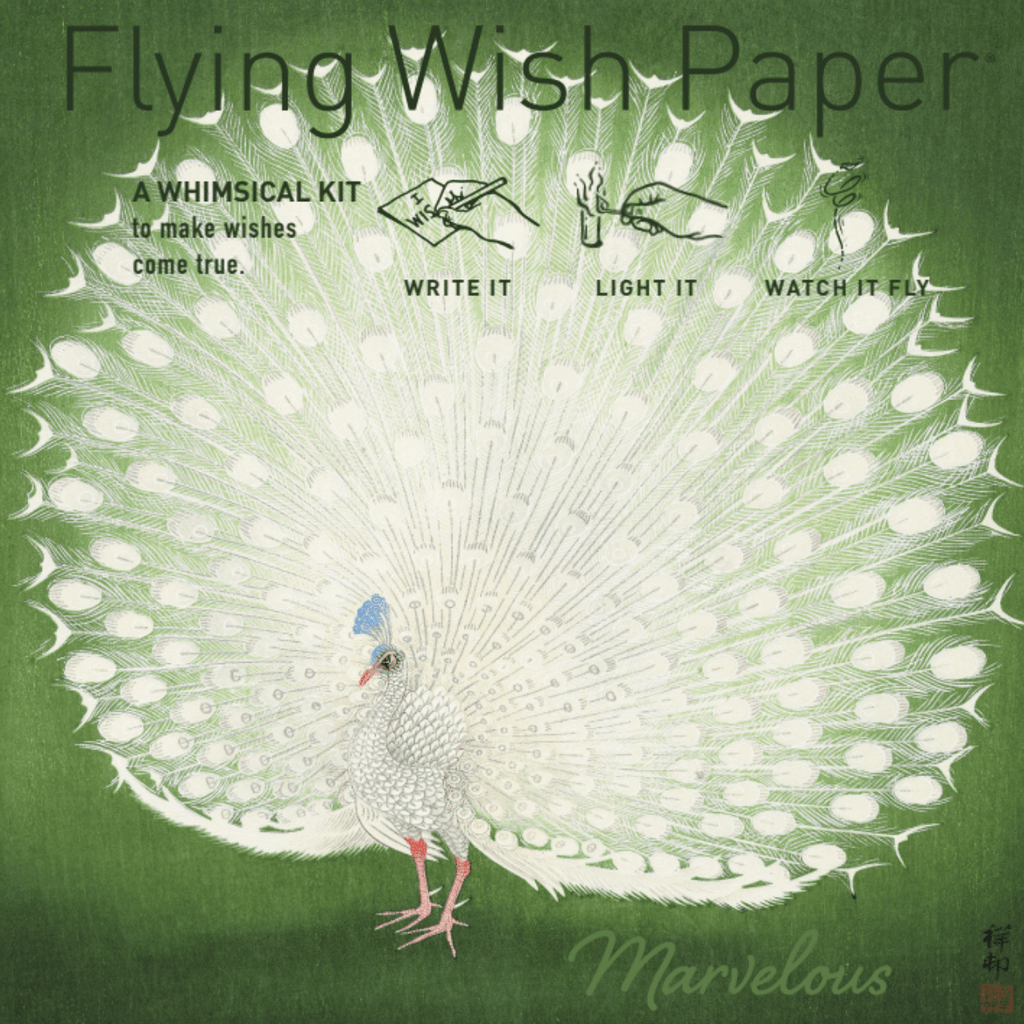 Mini Flying Wish Paper in Peacock