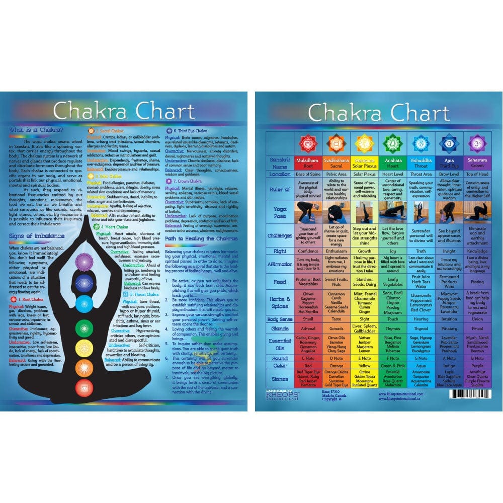 Chakra Chart (Laminated)