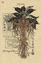 Magickal Botanical Oracle