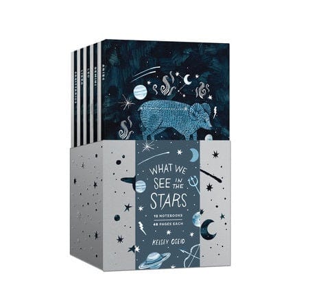 What We See in the Stars Journal Set