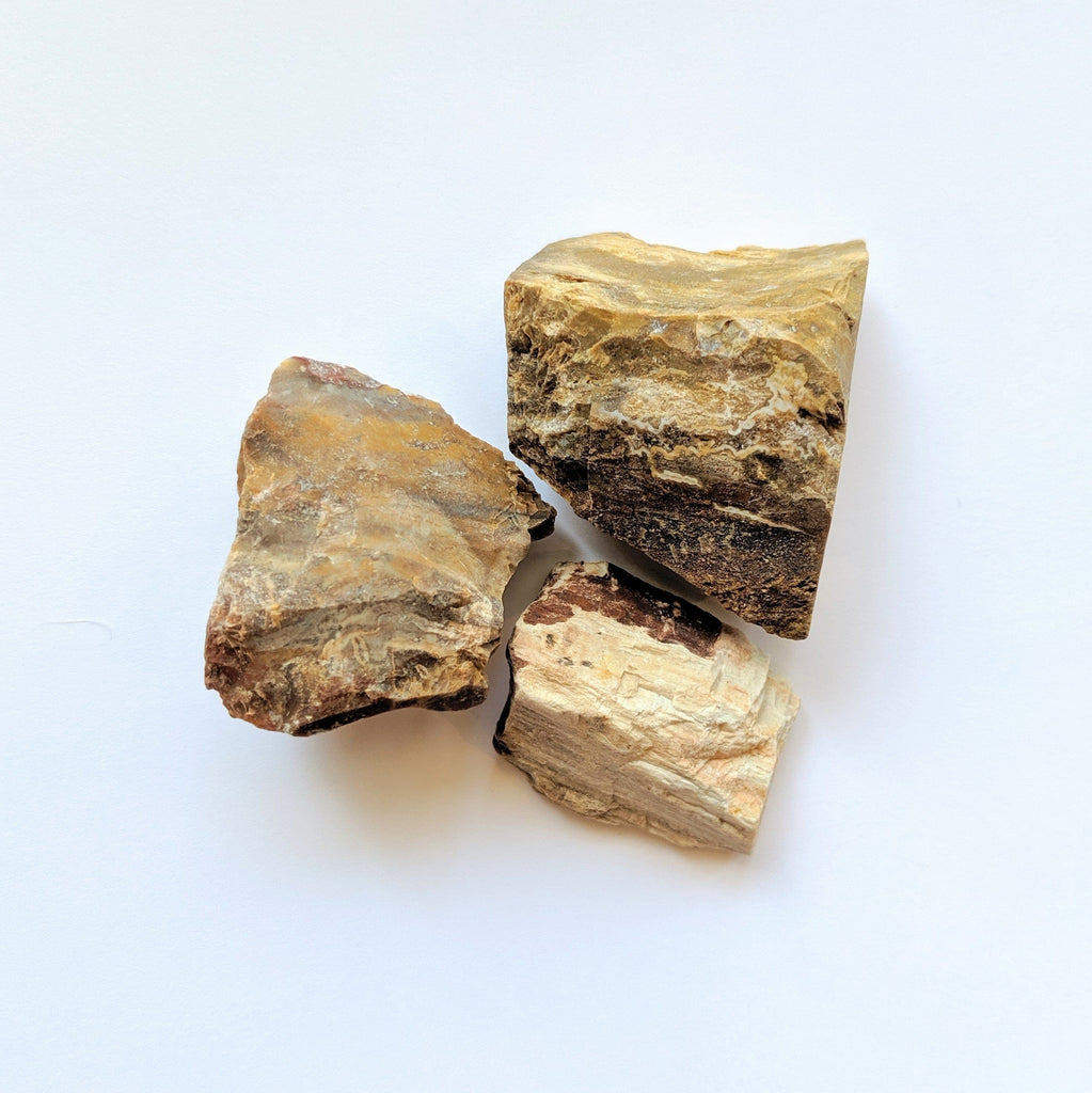 Petrified Wood for removing obstacles, business success Roughs