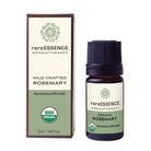 Rosemary Essential Oil