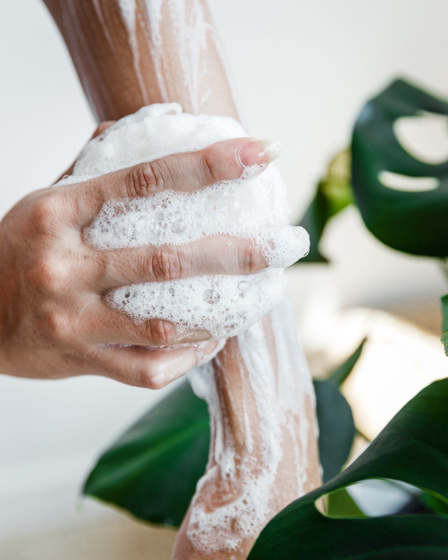 Body Wash Infused Spongette Buffer in Coconut Verbena