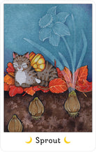 Affirmations of the Fairy Cats Deck and Book Set