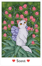 Affirmations of the Fairy Cats Deck and Book Set