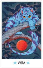 Affirmations of the Fairy Cats Deck and Book Set