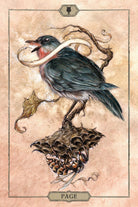 Hush Tarot Deck