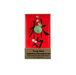 Unexpected Miracles Feng Shui Jade Charm - Body Mind & Soul