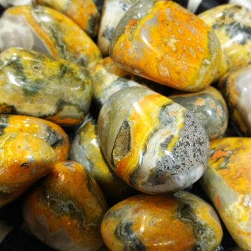 Jasper Bumblebee for joy, vitality, confidence