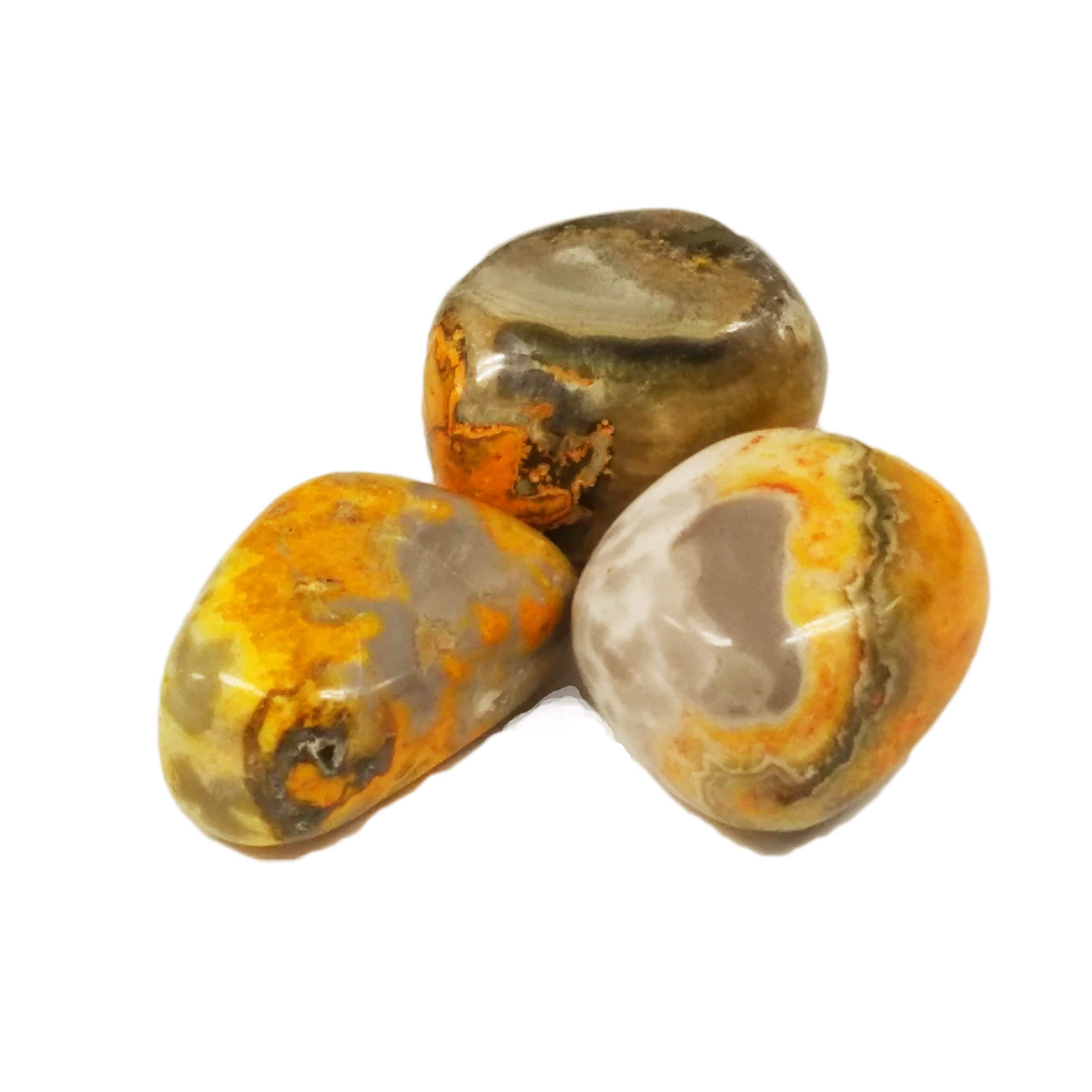 Jasper Bumblebee for joy, vitality, confidence