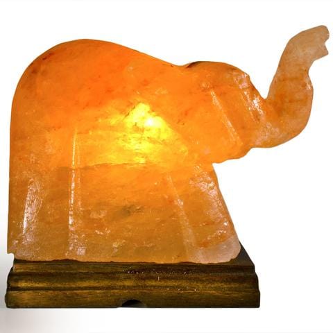 Carved Natural Himalayan Salt Lamps elephant