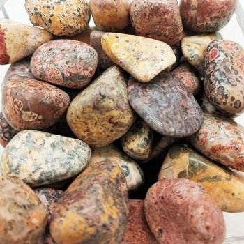 Jasper Leopardskin for harmony, vitality, self healing