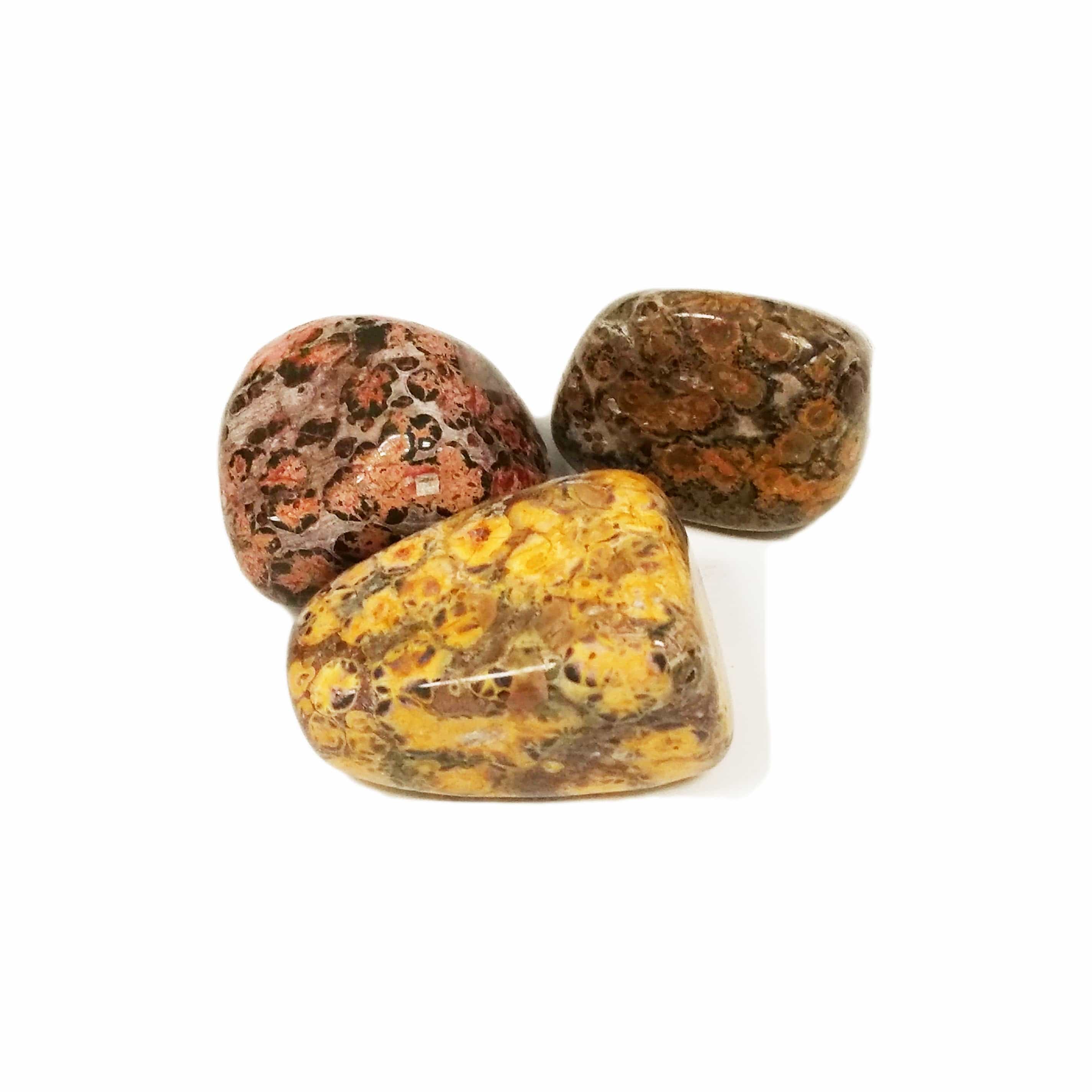 Jasper Leopardskin for harmony, vitality, self healing