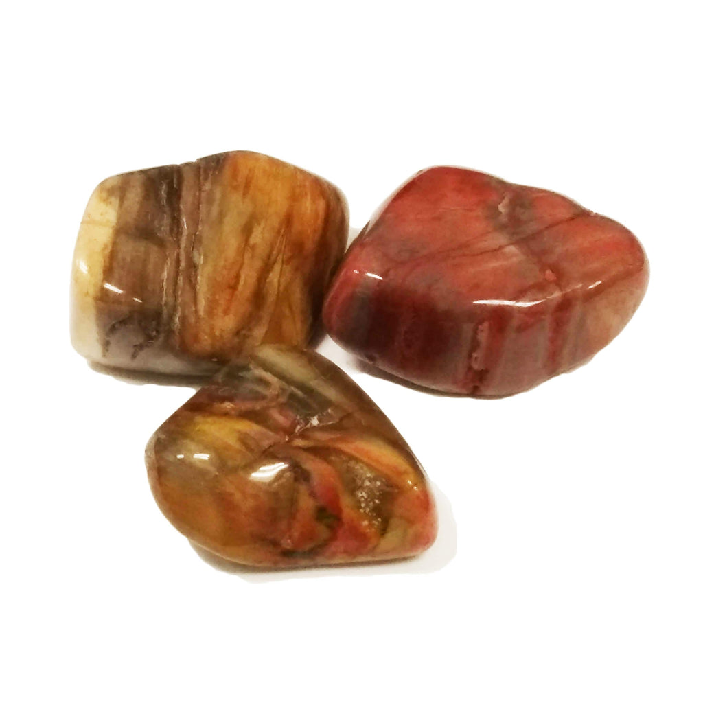Petrified Wood for removing obstacles, business success Tumbles