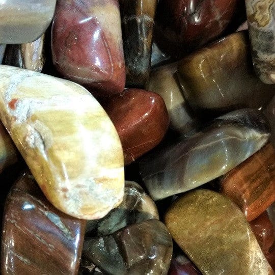 Petrified Wood for removing obstacles, business success